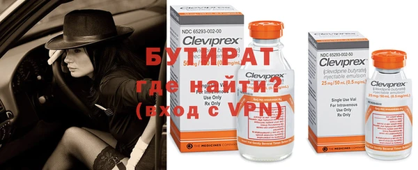 индика Баксан