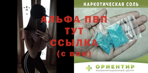 индика Баксан