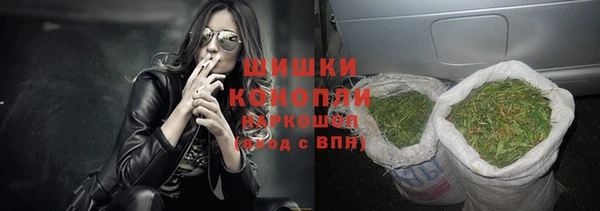 индика Баксан