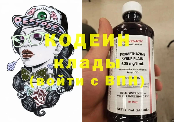 прущие грибы Балабаново
