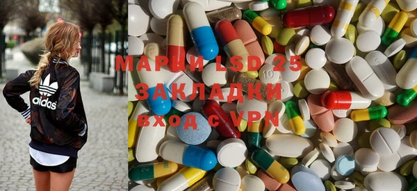 прущие грибы Балабаново