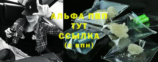 прущие грибы Балабаново